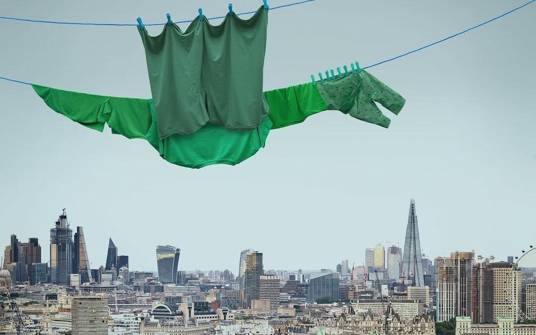 Household Surrealism by Helga Stentzel reframes everyday life through playful precision